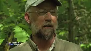 Wisconsin Life | Eagle Bander