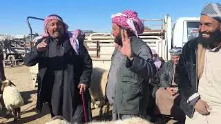 سوق الحداديه يوم الاربعاء //4//2//2026// حركه السوق عند الدلال ابو غازي وجميع الدلاله اخوان اشتراك 