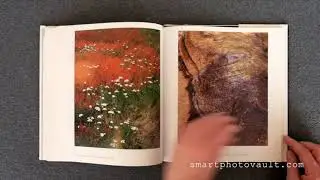 [NEW VERSION] - NATURES CHAOS - JAMES GLEICK & ELIOT PORTER  | Nature Photography Inspiration