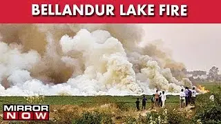 Bengaluru: Polluted Bellandur Lake Catches Fire, Thick Smog Engulfs Entire Area