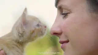 Cat Psychology Course, Cat Training & Care Diploma Course, Feline Courses