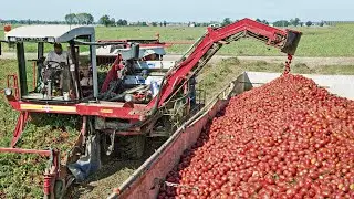 TOP 6 United State Modern Agriculture Technology - Carrot, Corn, Potato, Harvesting Machine 2023