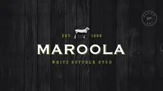 Maroola 205457 720