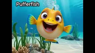 Sea Animals - ABC Sea Animals