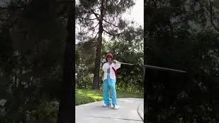 Taichi sword East mountain peaks like bird&rsquo;s beak holding morning sun (陳式太極劍東峰銜日) in English