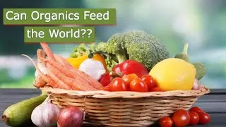 Can Organic Agriculture Really Feeds The World?| Smart Agri Hub