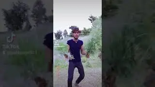 comedy  vidwt