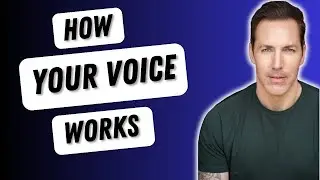 How Your Voice Works