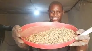 Stop Buying Expensive Feed! Organic Poultry Feed from Kitchen Waste | Save 50% Feed Cost