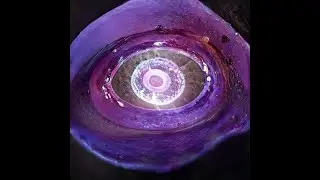 Short Journey Of Humankind - Machine Learning / Machine Dreams (AI Generative Art/GAN )