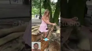 Funny Animal Fails | Reaction Funny Animal Fails | #shorts
