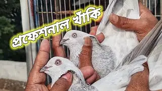 হিরা ভাইয়ের খাঁকি দেয় নাকি ফাঁকি🥰