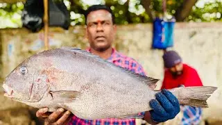 KASIMEDU🤯😱🤯 BIG SIZE UDHADI FISH CUTTING 🔪VIDEO FISHERMEN ENTERTAINMENT VIDEOS
