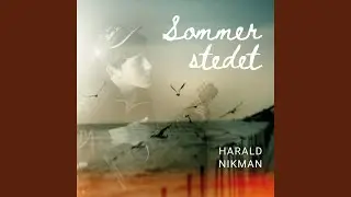 Kjerre i svart