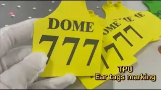 How to use laser marking masterbatch to improve the marking quality of ear tags?