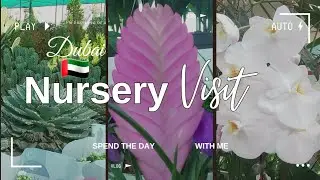 Exploring Nurseries in Dubai 🌵🌿 | Exotic Plants, Cactus, Succulents, Planters, and More!
