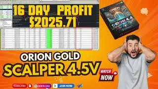 🚀 $2,025.71 Profit in 16 Days with Orion Gold Scalper &ndash; Live Results & Review! 🔥