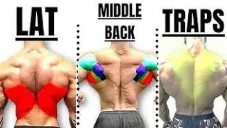 best EXERCISES| LAT | MIDDLE BACK| TRAPS workuot 🔥🔥🔥