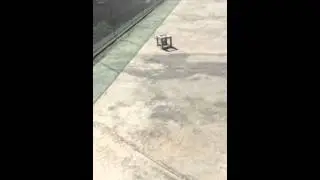Drop the egg down ( it's doesn't break )