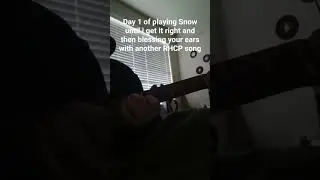 Day one of snow (I have Covid rn🤒) | #guitar #guitarcover #RHCP |