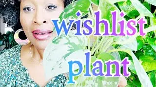 Wishlist Plant Haul