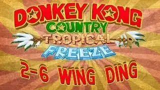 WR Speedrun: 2-6 Wing Ding (1:43.41) Donkey Kong Country: Tropical Freeze by ieraman