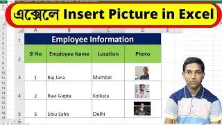 How to Insert Picture in Excel | Insert Picture in Excel | Excel Bangla Tutorial  | Add image Excel