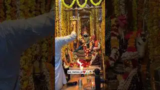 जय बाबा री सा ❤️🙏 #explorepage #baba #ramsapir #ramdevji #runicha #runichadham #trending