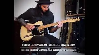 For sale @ www.MEISTEREDEGUITARS.com - 2023 Iconic Guitars Tamarack Swamp Ash Relic Blackguard Tele