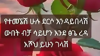 ዳጣ (ክፍል)31 አይ ማርቲየ 😢