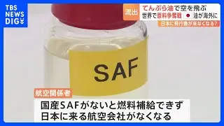 “てんぷら油”が飛行機の燃料に？ 世界で原料争奪戦 「日本に飛行機が来なくなるかもしれない」｜TBS NEWS DIG