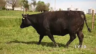1y10