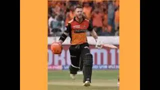 David warner car collections