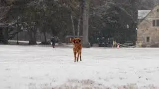 Light snow falls in Norwalk and Westport, CT