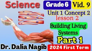 ساينس سادسة ابتدائي ترم اول  Science Grade 6 Building Living Systems Concept 2 Lesson 2 Part 1