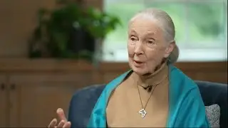 Jane Goodall, famed primatologist anthropologist, dies at 91