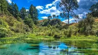 Blue Spring 🇳🇿 Putaruru [60FPS] Part I