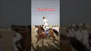 Horse riding | گھڑ سواری | #horse #ride #amazing #expert exper