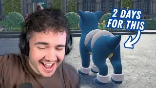 Johnstone FINALLY Finds This BLUE DOG (Shiny Oak Challenge)