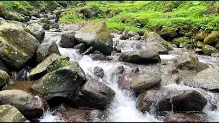 Calm River Sounds for Anxiety & Insomnia | Natural White Noise to Help You Sleep All Night Long