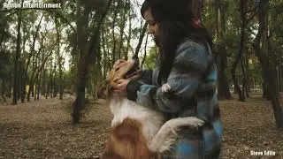 A Beautiful Relation Between Dogs and People ❤💕💖 | Remember  Moments!