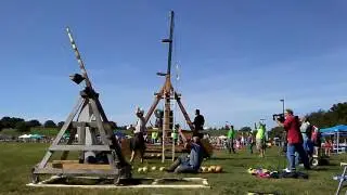 Texas Trebuchet's first tournament shot at Sling Fest 2016. Accuracy round 250, 3 pound punkin.