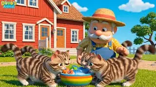 🎵 Old Farmer Donny Feeding Farm Animals | Little Duck, Sheep & Cat 🦆🐑🐱