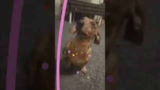 the dog swears