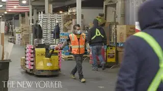How COVID-19 Affected NYC’s Food-Supply Chain | The New Yorker