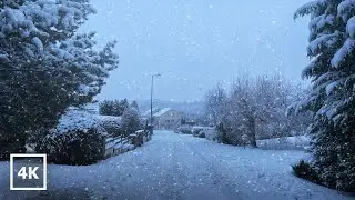 Winter in Switzerland Snowy Village & Forest Walk (Day 2)  4K Ultra HD