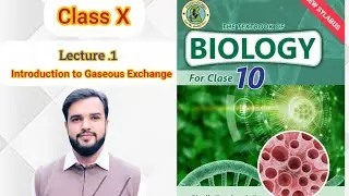 Introduction to Gaseous Exchange for class X Sindh Board level Biology.