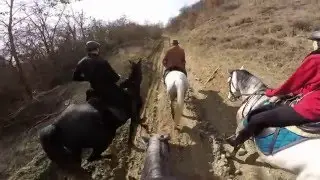 GoPro Hero - Lipizzaner Horses racing - Transylvania Horse Club 1080p60 HD