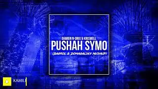 Damien N-Drix & Kriswell  - Pushah Symo (Bagrol & Domagalsky Mashup)