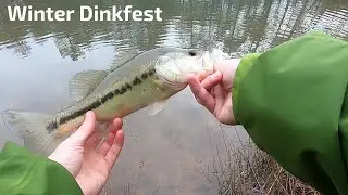 Winter Bass Fishing Tiny Pond